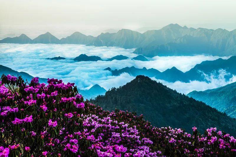 难以超越的10大巅峰港剧，《寻秦记》垫底，榜首毫无争议
